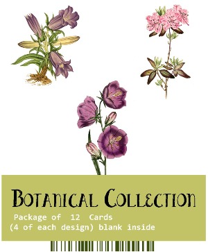 Botanical Card Set  William Curtis Set "Botanical Set #3"
