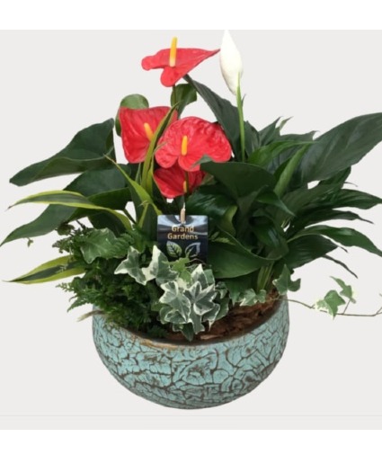 Botanical Garden Planter