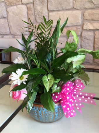 BOTANICAL GARDEN PLANTS AND FRESH FLOWERS