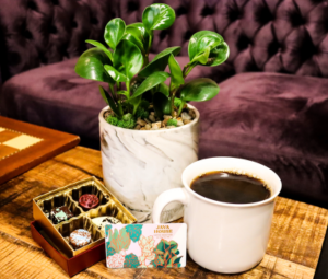 Botanicals and Brews in Iowa City, IA | Every Bloomin' Thing Botanicals and Brews in Iowa City, IA | Every Bloomin' Thing
