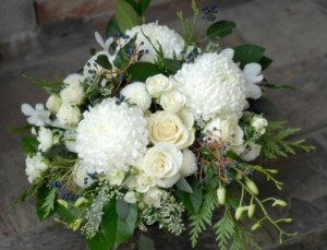 Botany Holiday Arrangement in Cube Vase in Toronto, ON | BOTANY FLORAL STUDIO Botany Holiday Arrangement in Cube Vase in Toronto, ON | BOTANY FLORAL STUDIO