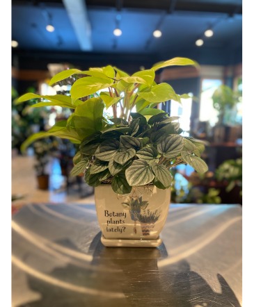 Botany Plants Lately? Planter in South Milwaukee, WI | PARKWAY FLORAL INC.