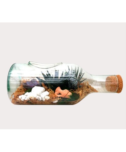 Bottle Terrarium Succulent