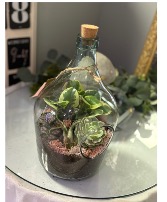 Bottled terrarium  