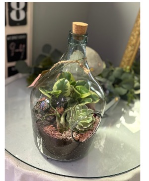 Bottled terrarium  