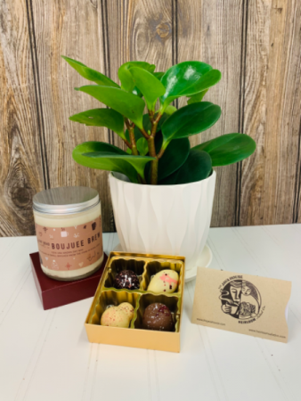 Boujuee Botanicals and Brews