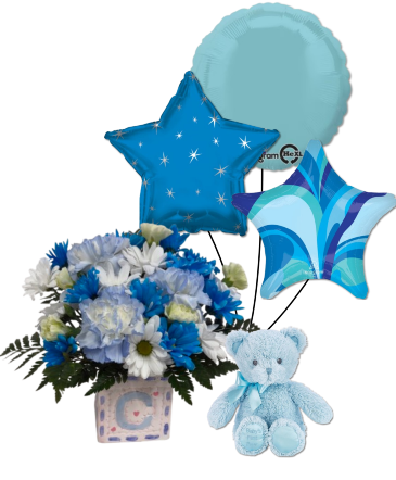 Bouncing Baby Boy   in Mount Pearl, NL | MOUNT PEARL FLORIST