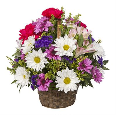 Bountiful Basket