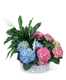Bountiful Basket Flower Arrangement