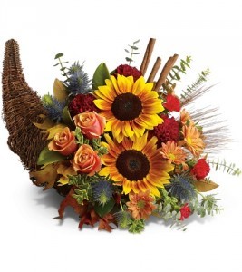Bountiful Beauty HWEB587