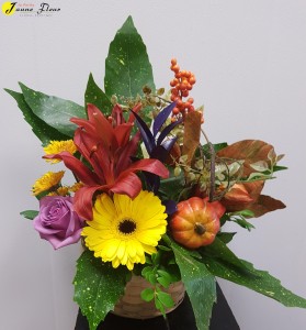 Fall-Bountiful Blooms