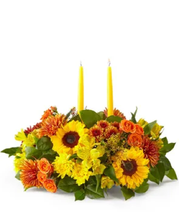 Gather 'Round B5433d Centerpiece in Fort Worth, TX | DARLA'S FLORIST