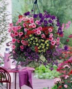 Bountiful Hanging Outdoor Planters
