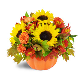 Bountiful Harvest (Sub: gerbera daisies)  Fall arrangement 