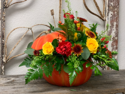 Bountiful Pumpkin