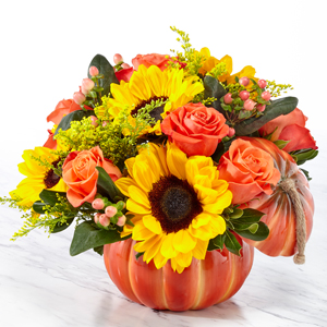 Bountiful Pumpkin Bouquet
