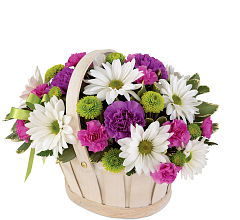 Blooming Bounty - 834 Basket arrangement 