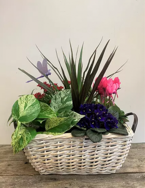 Bountyfull Planter basket