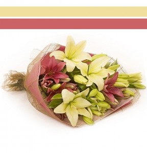 Bouquet Lilies Hand-tie Bouquet