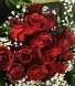 Bouquet of explorer red roses Hand tied bouquet 