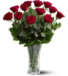 Category Image