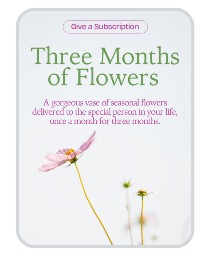 Bouquet of the Month Club (3) Flower Arrangement