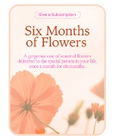 Bouquet of the Month Club (6) Flower Arrangement