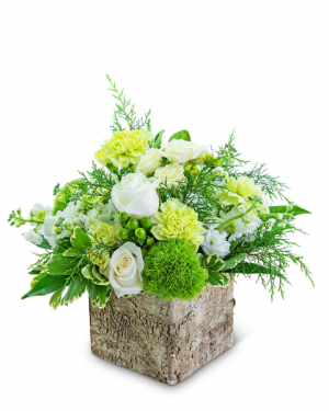 Bourbon Vanilla Flower Arrangement