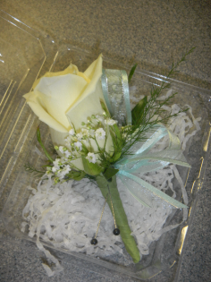 Category Image