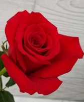 Boutonniere red rose Boutonnieres