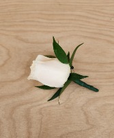 Boutonniere white rose Boutonnieres