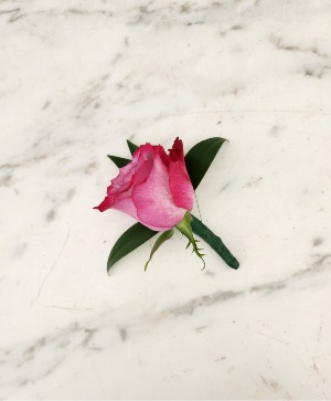 Boutonnieres Purple rose Boutonnieres