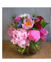 Bowl of beautiful peonies 