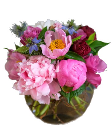Bowl of Beautiful Peonies  in Northampton, MA | Forget Me Not Florist