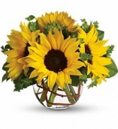 Bowl of Sunflowers 