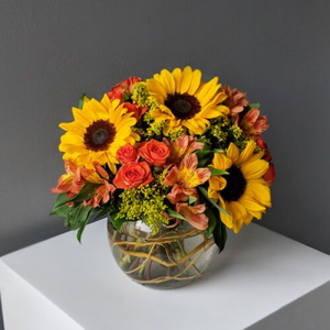 Bowl of Sunshine Arrangement