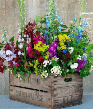 Box arrangment in Ozone Park, NY | Heavenly Florist Box arrangment in Ozone Park, NY | Heavenly Florist