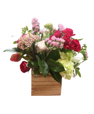 Box of Blooms - Standard Everyday Floral Arrangement