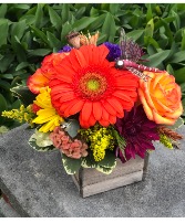 Box of Blooms Vased Arrangement
