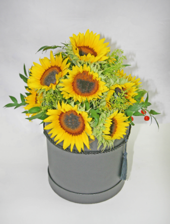 BOX OF CHEER Sunflowers