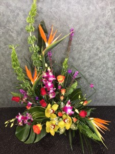 Box of Colours Dish Arrangement