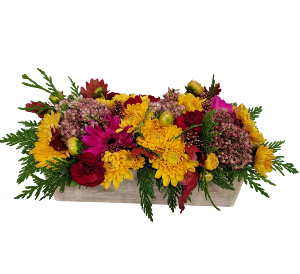 Box of Fall container arrangement