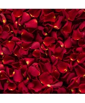 Box of rose petals 