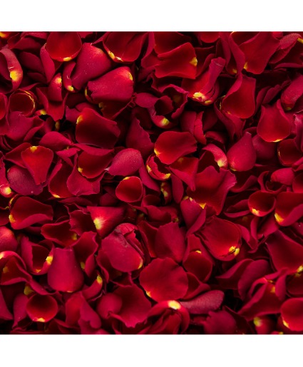 Box of rose petals 