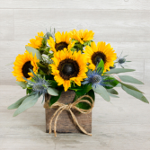 Box of Sunflowers 