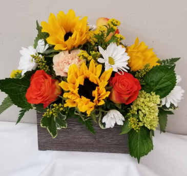 Box of Sunshine in Mount Pleasant, IA | FROM THE HEART FLOWERS & GIFTS Box of Sunshine in Mount Pleasant, IA | FROM THE HEART FLOWERS & GIFTS
