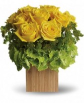 Box of Sunshine