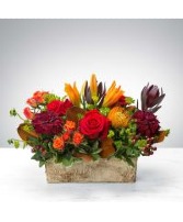 Box of the Season Box Arrangement