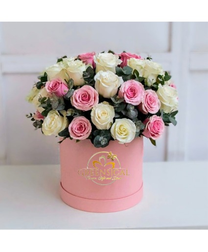 Cream Pink Roses  