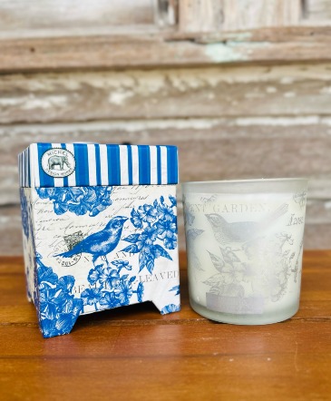 Boxed - Indigo Cotton 6.5oz Candle that Burns 40 Hours in Key West, FL | Petals & Vines